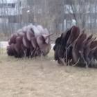 20171202_144655