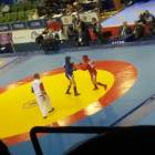 IMG-20160515-WA0016