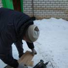 Кормушка для пернатых друзей120575