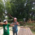 IMG_20180707_120432