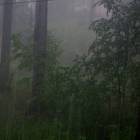 DSCN0300.JPG