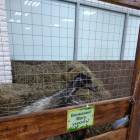 IMG_20181101_174336