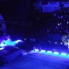 DSC01695.JPG