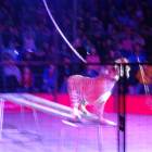 DSC07334.JPG