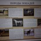 IMG_20181101_162214