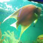 DSCN9955.JPG