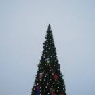 DSCN7028.JPG