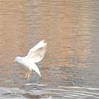 20191025_145232