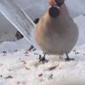 DSC04475.JPG