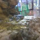 IMG_20171112_191454