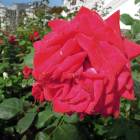 DSCN9628.JPG