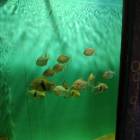 IMG_20171112_185229