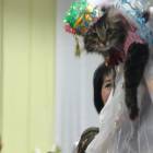 DSC04954.JPG