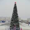 DSC04429.JPG