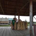 IMG_20180707_125929