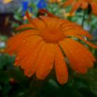 DSCN0306.JPG