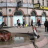 IMG_6186.JPG