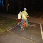 DSC06446.JPG