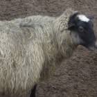 DSCN4909.JPG