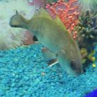 DSCN9938.JPG