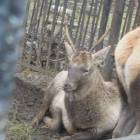 DSCN4906.JPG