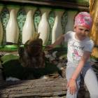 DSCN0482.JPG