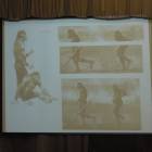 DSCN5641.JPG