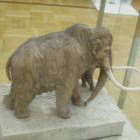 DSCN8554.JPG