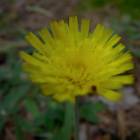 DSCN0592.JPG