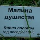 DSCN1593.JPG