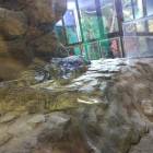 IMG_20171112_191443