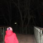 IMG_5393.JPG