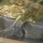 DSCN0398.JPG