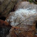 DSCN5045.JPG