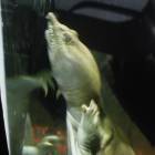 DSCN9962.JPG