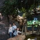 Казанский океанариум95513