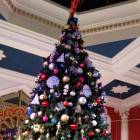 IMG_20171213_155555