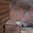 IMG_20160828_092342