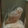 DSCN6818.JPG
