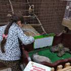 IMG_20181101_175027