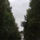 Мой любимый Лениногорск!!!117114
