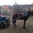 6 день соревнований 1