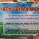 КК№46.Парк тропических бабочек.62385