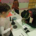 DSCN7529.JPG