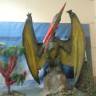DSC05095.JPG