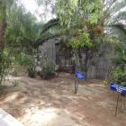 DSC06389.JPG