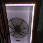 IMG_5755.JPG