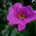 DSCN0356.JPG