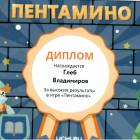 Портфолио достижений146996
