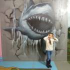 DSCN8963.JPG